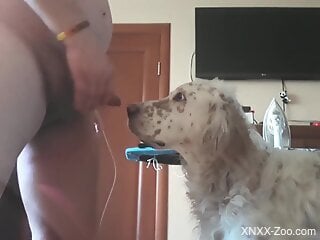 Phat booty dude enjoying hot oral sex with a dog