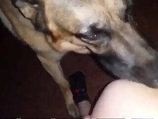 Bubble butt babe getting screwed by a horny mutt
