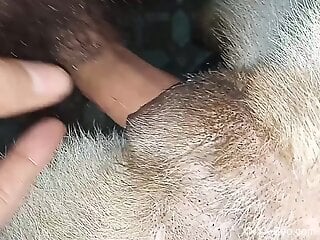 Hairy-cocked dude slotting that delicious dog hole