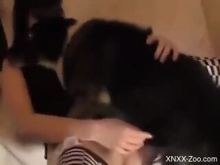 Brunette in sexy legwear indulging in violent dog sex