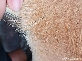 Cavernous beast hole getting fucked in an intense way