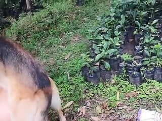 Bronzed Latina gets boned by her well-endowed dog