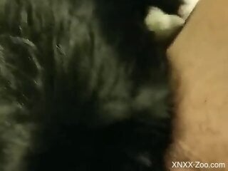 Sexy animal enjoying hot oral with a true beastlover