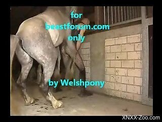 Welsh dude with a tight hole getting screwed by a pony