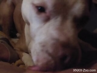 Masturbation and hot fuckery with a really kinky beast