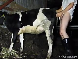 Dude is happy to use his to pleasure the cow's hole