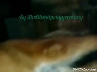 Dog fucks German woman in the ass and pussy for wild XXX