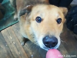 Sexy animal is waiting to get facial'd hardcore