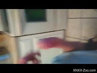 Man jerks off on cam in a very particular zoophilia play