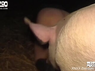 Sexy ass mature woman feels entire dog cock in her fanny