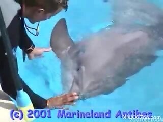 Horny man feels sexually attracted to this dolphin