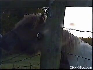 Horny man feels like getting intimate with this animal