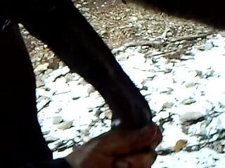 Man grabs horse's huge dick and starts to jerk it on cam