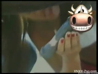 Latina lustfully worships a horse's hot cock outdoors