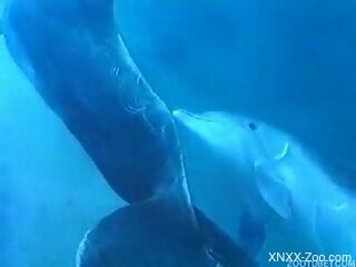 Underwater perversions make horny scuba diver feel hard