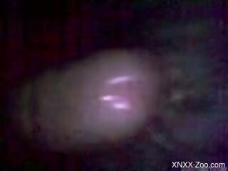 That cock is doing the unspeakable in this zoo porno