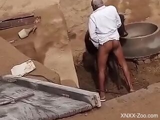 Amateur dude filmed in public when fucking a cow in the ass