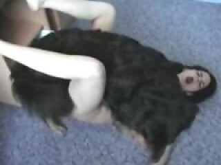 Free bestiality and zoophilia porn