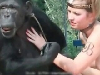 Zoo porno and bestiality