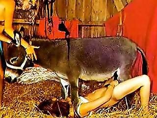 Zoo MILF